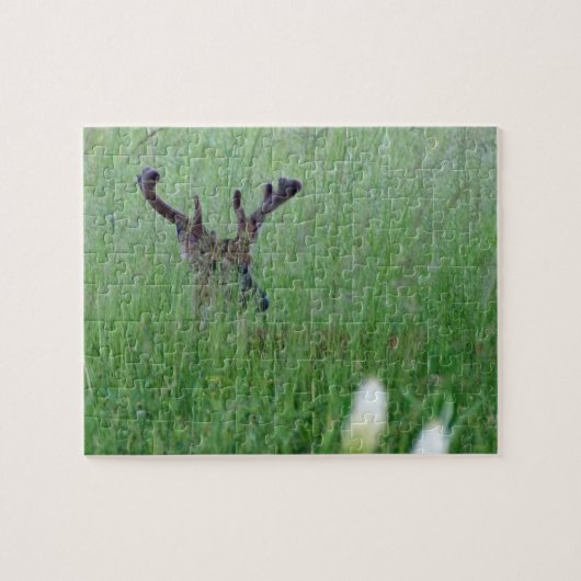 Big Buck In Tall Grass Puzzle (Horizontal)