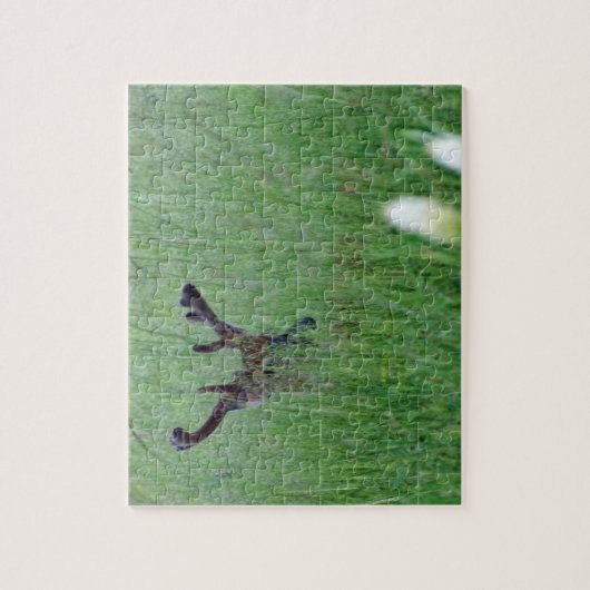 Big Buck In Tall Grass Puzzle (Vertikal)