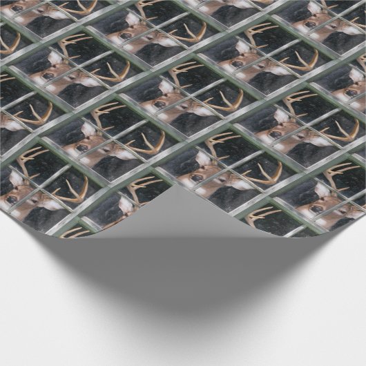 Big Buck in Window Geschenkpapier (Ecke)