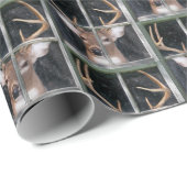 Big Buck in Window Geschenkpapier (Rolleneckpunkt)