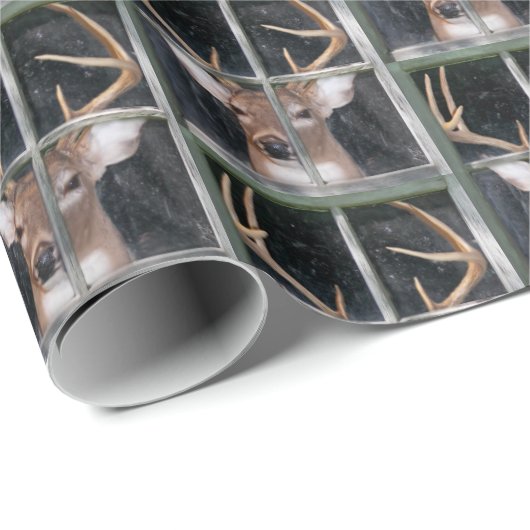 Big Buck in Window Geschenkpapier (Rolleneckpunkt)