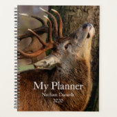 Big Buck Planer (Vorderseite)
