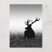 Big Buck Postkarte (Vorderseite)