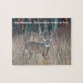 Big Buck, Shenandoah National Park Puzzle (Horizontal)