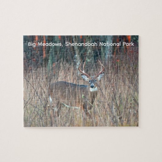 Big Buck, Shenandoah National Park Puzzle (Horizontal)