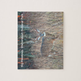 Big Buck, Shenandoah National Park Puzzle