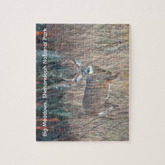 Big Buck, Shenandoah National Park Puzzle (Vertikal)
