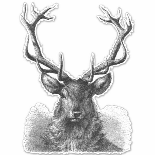Big Buck Sticker (Vorderseite)