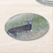 Big Buck (Summer) Paper Untersetzer (Angewinkelt)