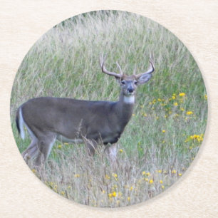 Big Buck (Summer) Paper Untersetzer