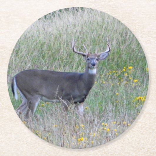 Big Buck (Summer) Paper Untersetzer (Vorderseite)