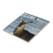 Big Buck Winter Fliese (Seite)