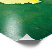 Big Bucks Fotodruck (Ecke)