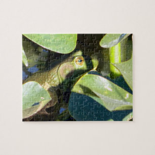 Big Bullfrog Puzzle