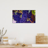 Big Bunch saftiger Lila Trauben Poster (Küche)