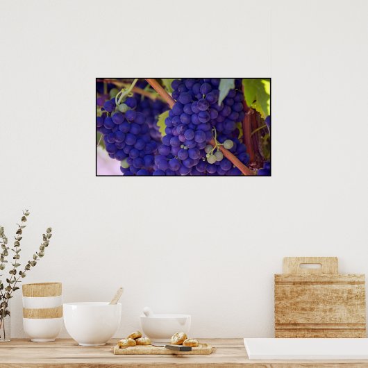 Big Bunch saftiger Lila Trauben Poster (Küche)