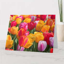 Big Card Spring at The Sunken Gardens1 2013 Karte