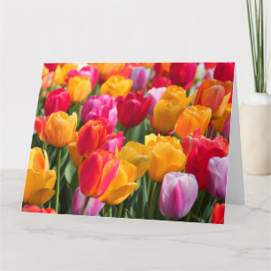 Big Card Spring at The Sunken Gardens1 2013 Karte