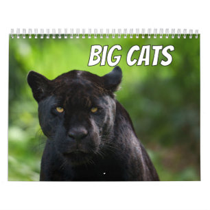 Big Cat 2026 Kalender