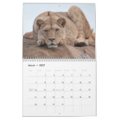 Big Cat 2026 Kalender (Mär 2027)