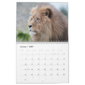 Big Cat 2026 Kalender (Jan 2027)
