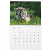 Big Cat 2026 Kalender (Feb 2027)