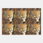 Big Cat 3 Design Pack - Jedem Anlass Geschenkpapier Set (Vorderseite 2)