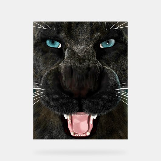 Big Cat Black Panther Acrylschild (Vorderseite)