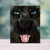 Big Cat Black Panther Acrylschild (Neutral)