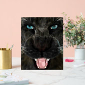 Big Cat Black Panther Acrylschild (Hochzeit)
