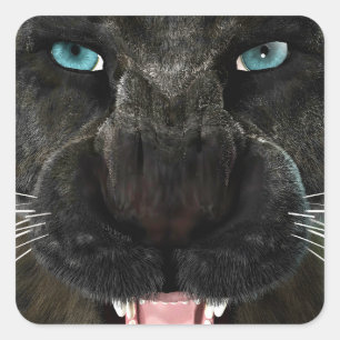 Big Cat Black Panther Quadratischer Aufkleber