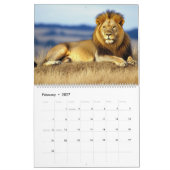 Big Cat Calendar 2025 Kalender (Feb 2027)