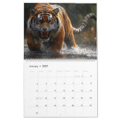 Big Cat Calendar 2025 Kalender (Jan 2027)