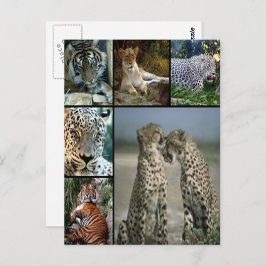 Big Cat Collage Postkarte (Vorne/Hinten)