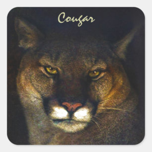 Big Cat Cougar Mountain Lion Art Design Quadratischer Aufkleber
