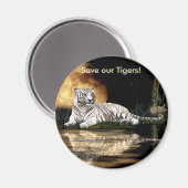 BIG CAT gefährdete Arten Magnet (Vorderseite/Rückseite)