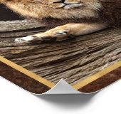 Big Cat Lion Foto Poster (Ecke)