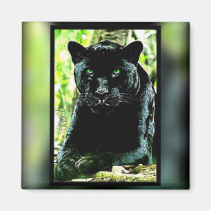 Big Cat Modelle: Mit Augen grüner Panther Magnet