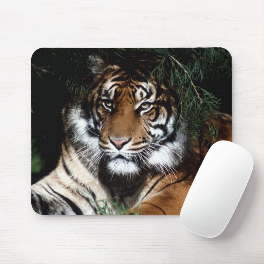 Big Cat Mouse Pad Mousepad (Mit Mouse)