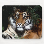 Big Cat Mouse Pad Mousepad (Vorne)