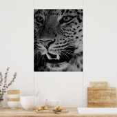 Big Cat Poster (Küche)