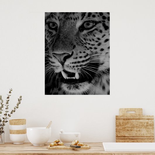 Big Cat Poster (Küche)