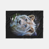 Big Cat Rare White Lion Wildlife Foto Portrait Fleecedecke (Vorderseite (Horizontal))