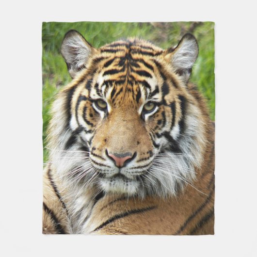 Big Cat Sumatran Tiger Fleecedecke (Vorderseite)