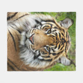 Big Cat Sumatran Tiger Fleecedecke (Vorderseite (Horizontal))