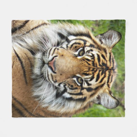 Big Cat Sumatran Tiger Fleecedecke (Vorderseite (Horizontal))