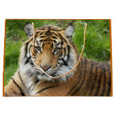 Big Cat Sumatran Tiger Foto Große Geschenktüte (Vorderseite)