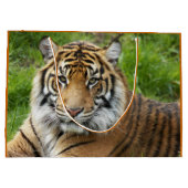 Big Cat Sumatran Tiger Foto Große Geschenktüte (Rückseite)