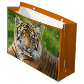 Big Cat Sumatran Tiger Foto Große Geschenktüte (Vorderseite Schrägansicht)