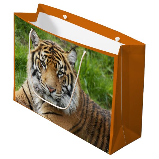 Big Cat Sumatran Tiger Foto Große Geschenktüte (Vorderseite Schrägansicht)